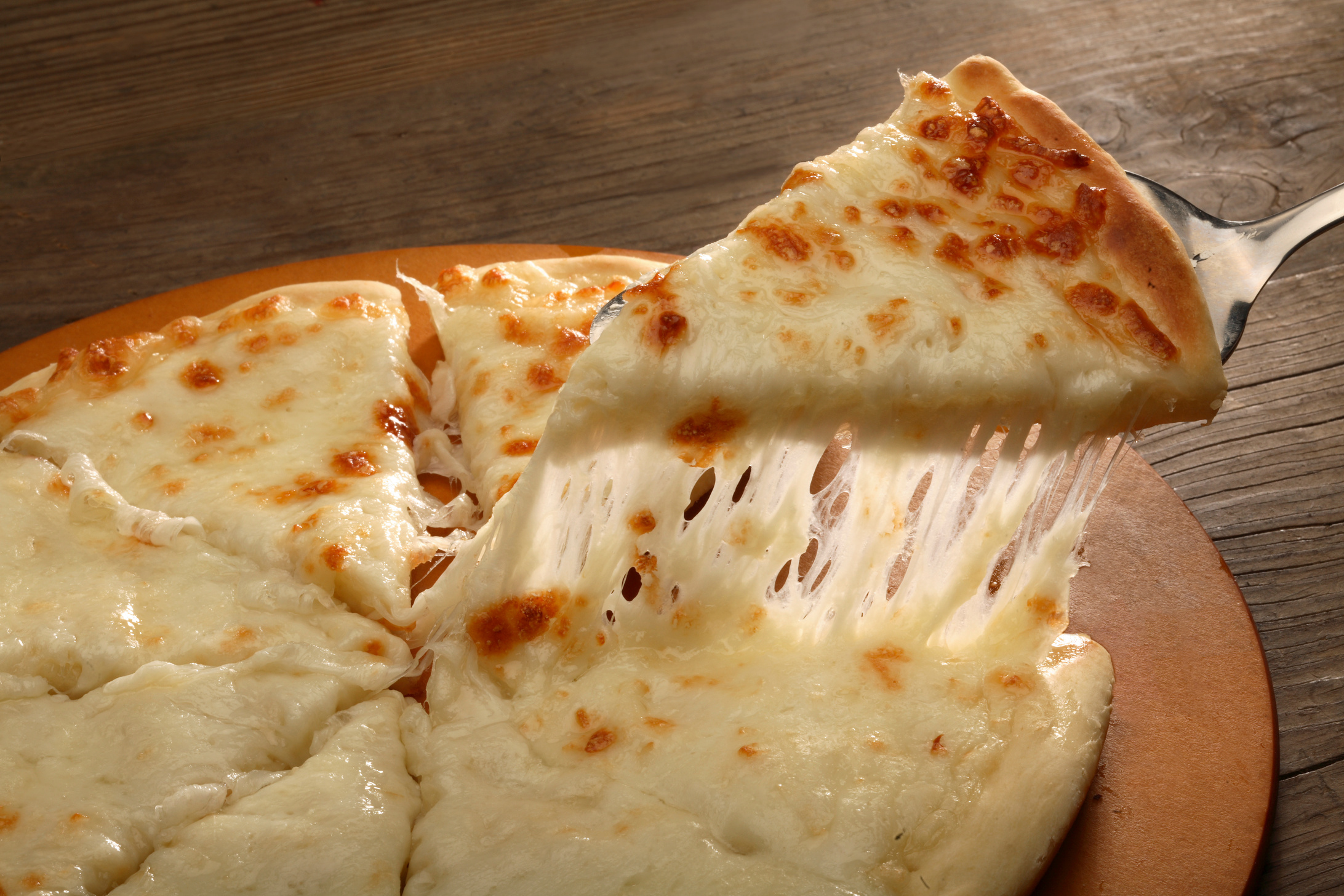 Mozzarella pizza